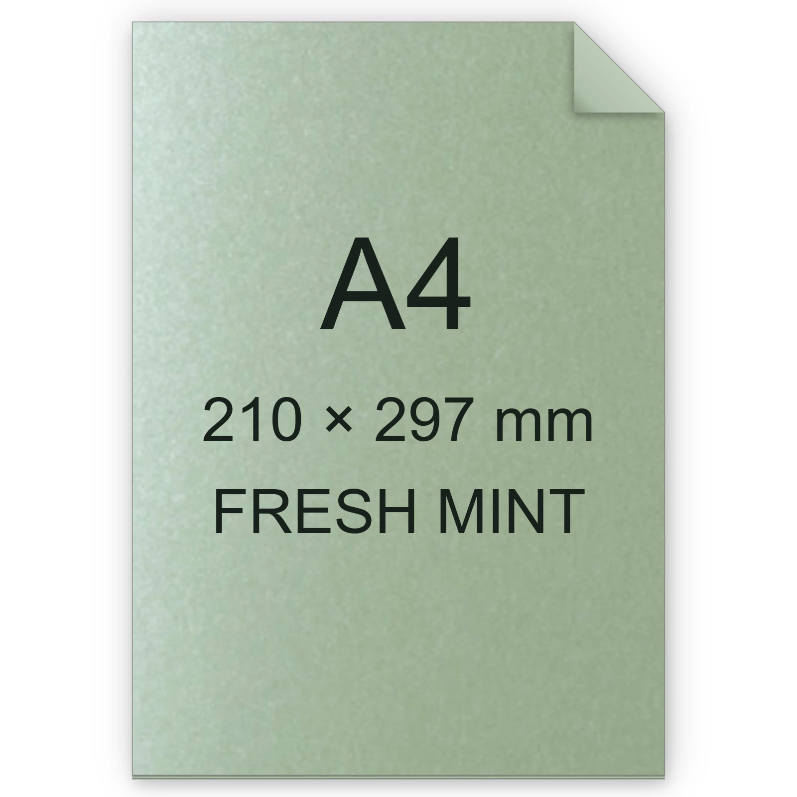 Cartoncino Favini, Majestic Classic, 290 g/m², A4, FRESH MINT bra752