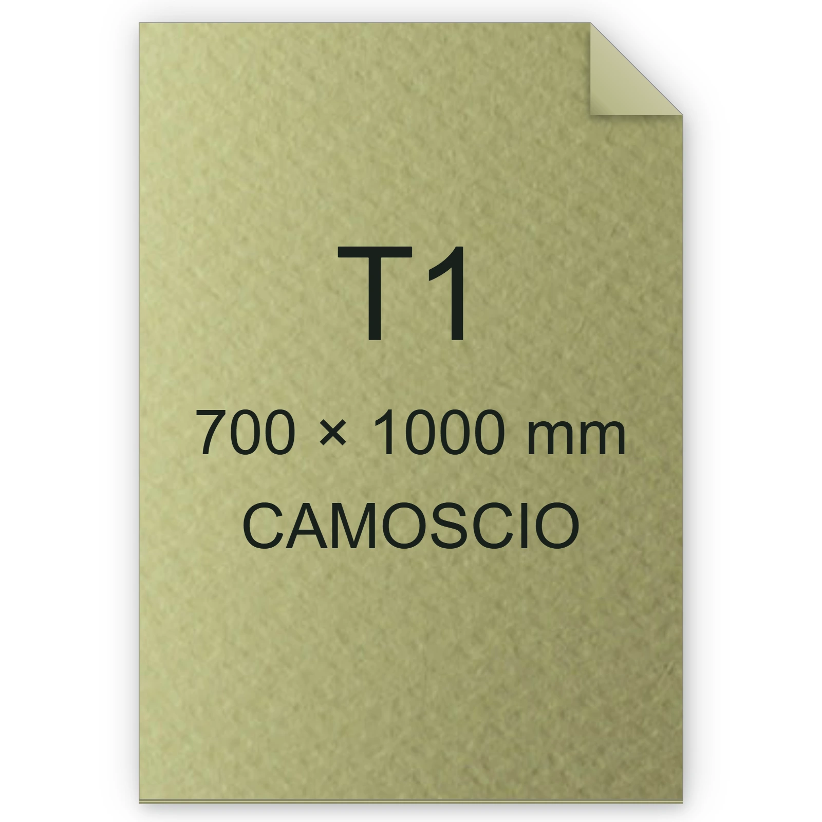 Cartoncino Favini, Prisma Color Sigillo Monoruvido, 220 g/m², T1, CAMOSCIO 12 FAVA33R0A1
