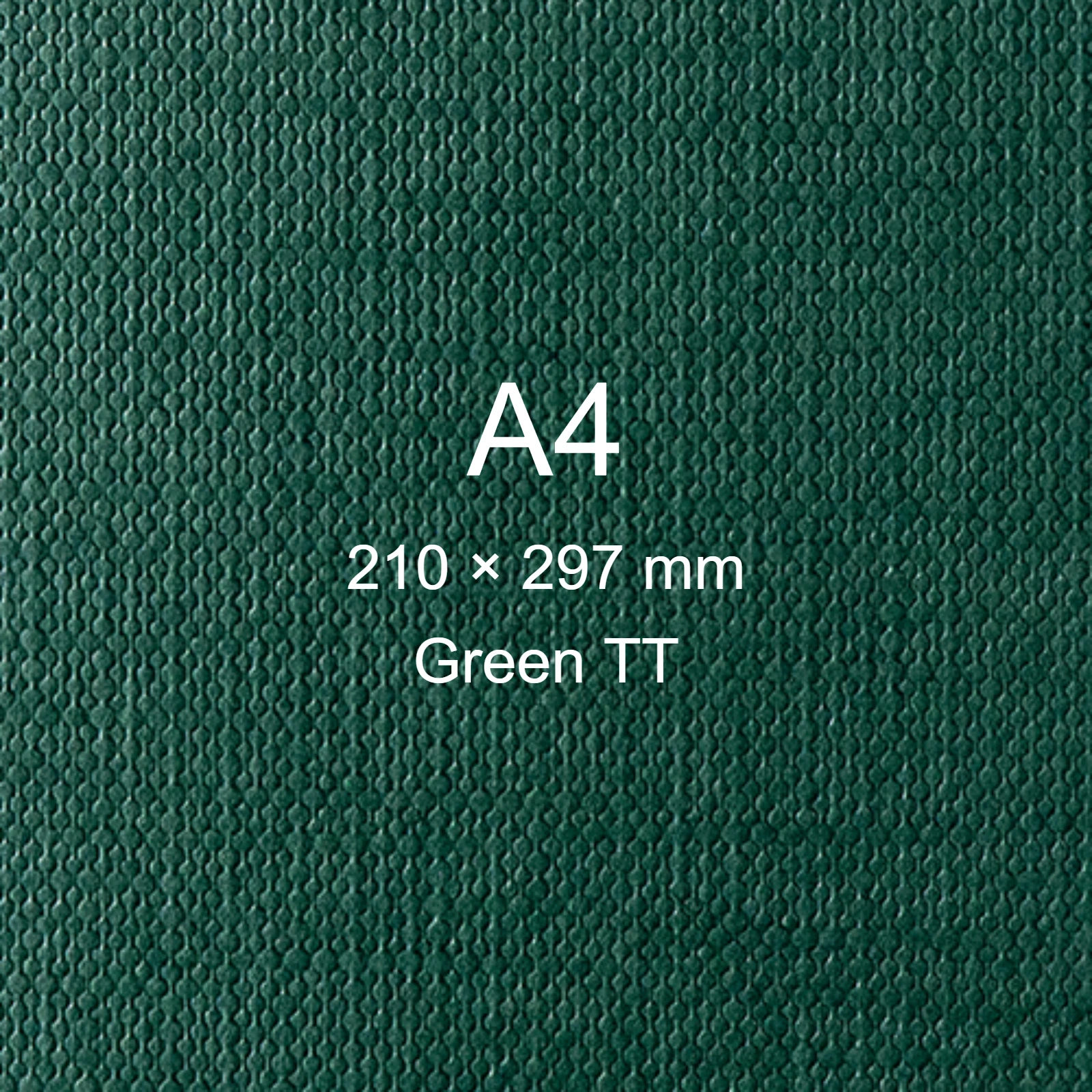 Cartoncino Favini, Classy Covers, 120 g/m², A4, GREEN TT bra6628 - immagine aggiuntiva