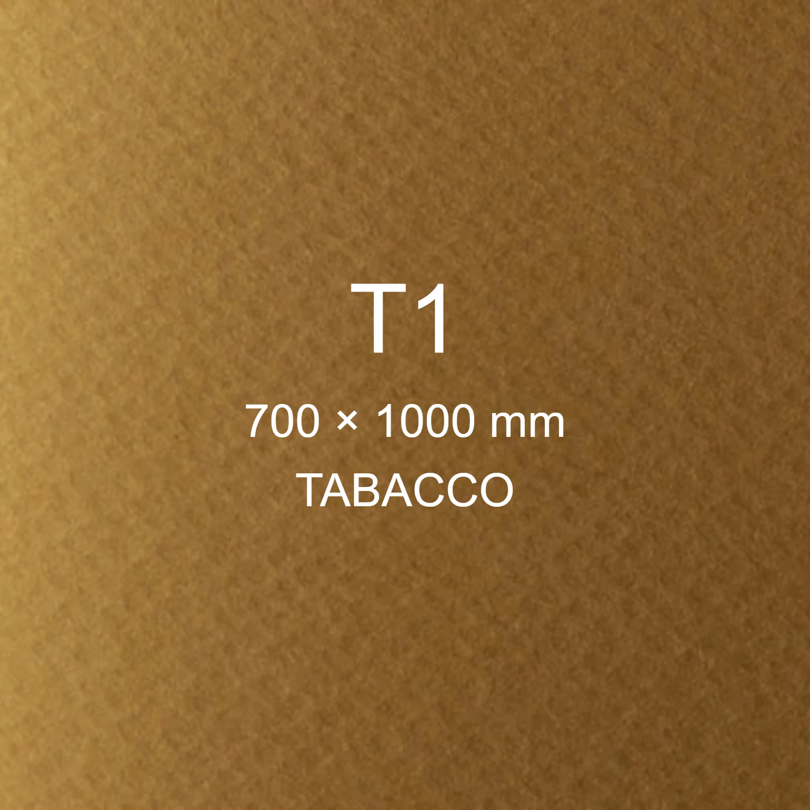 Cartoncino Favini, Prisma Color Sigillo Monoruvido, 220 g/m², T1, TABACCO 10 FAVA33H0A1 - immagine aggiuntiva