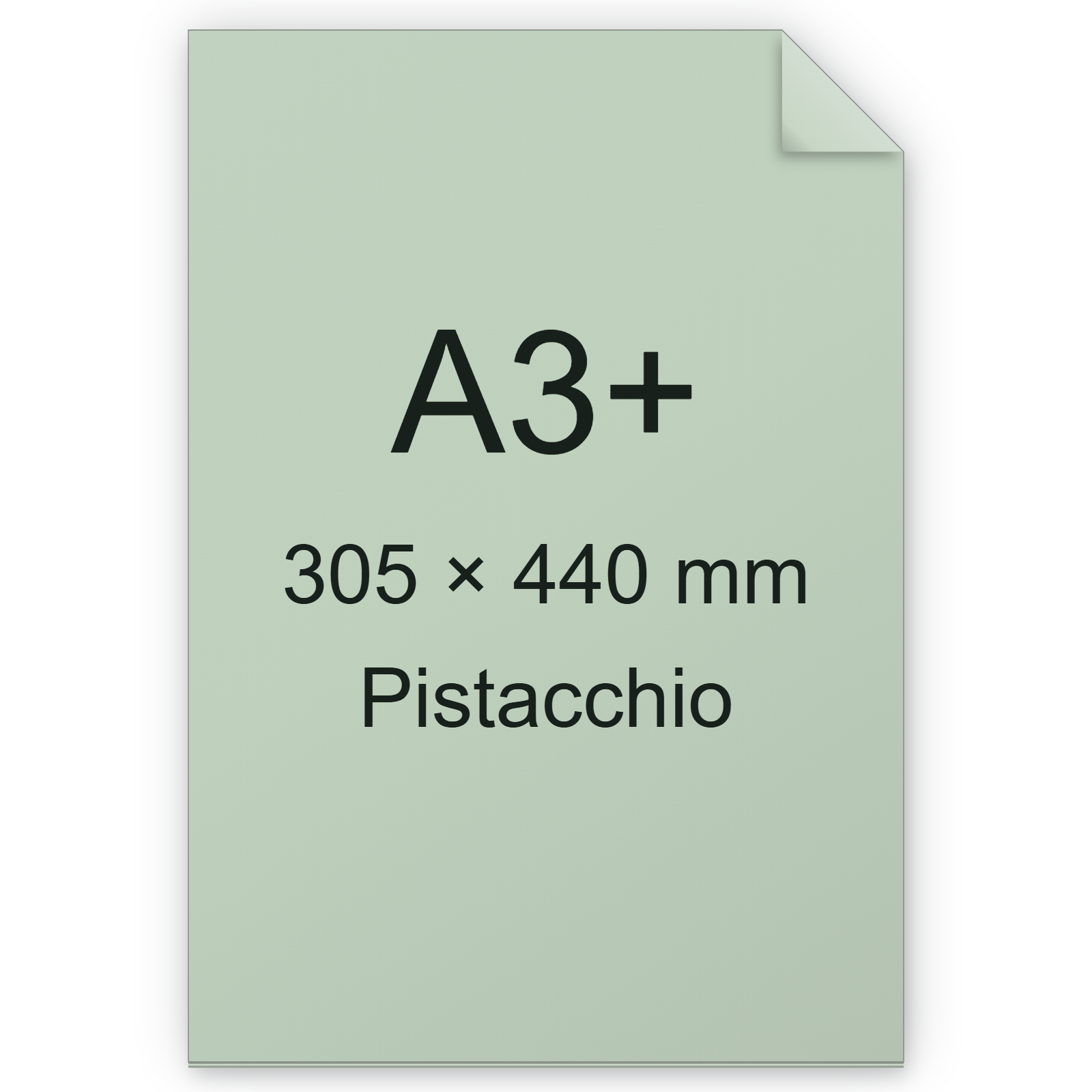 Cartoncino Favini, Burano, 140 g/m², A3+, PISTACCHIO 04 bra840A3+