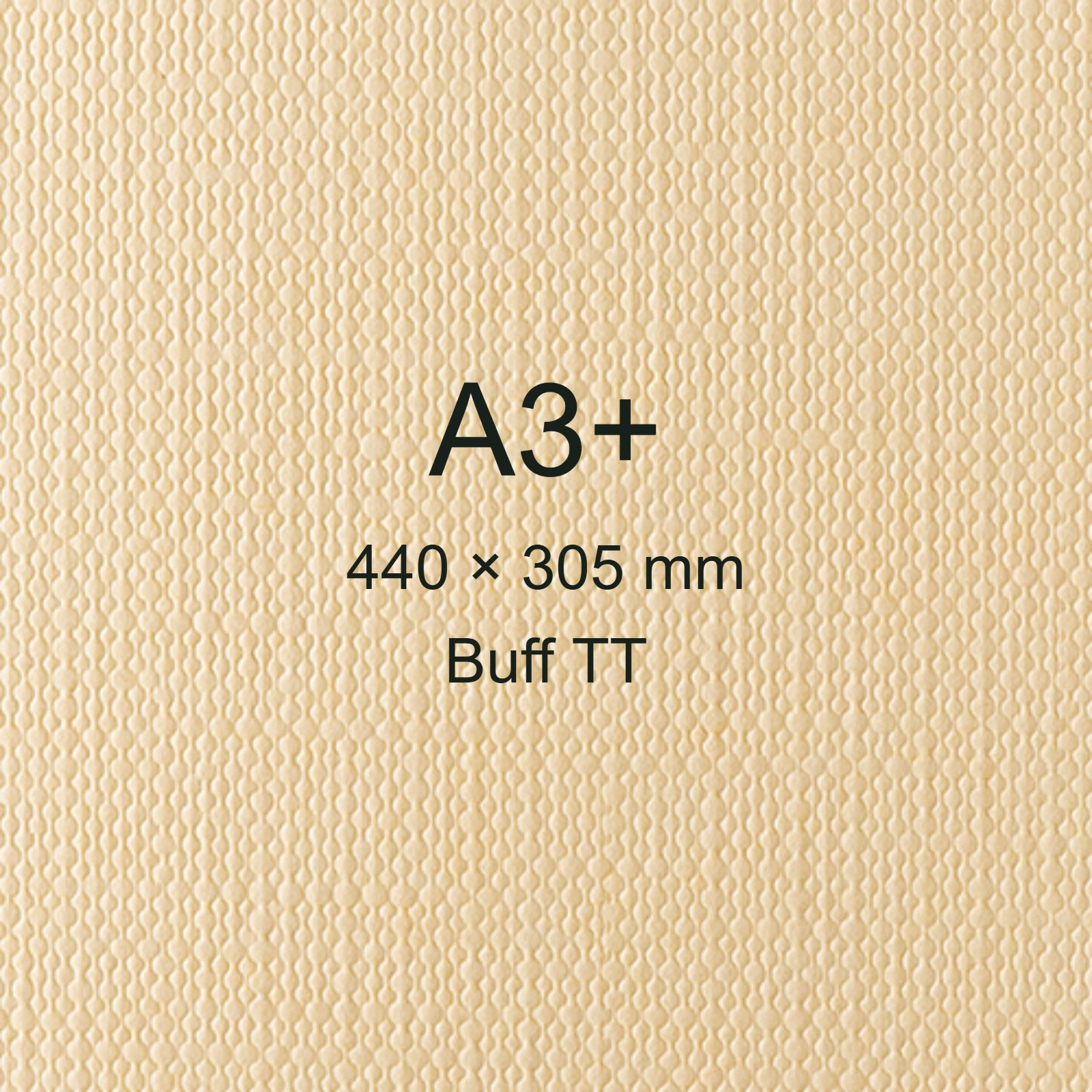 Cartoncino Favini, Classy Covers, 120 g/m², A3+, BUFF TT bra6619a3+ - immagine aggiuntiva