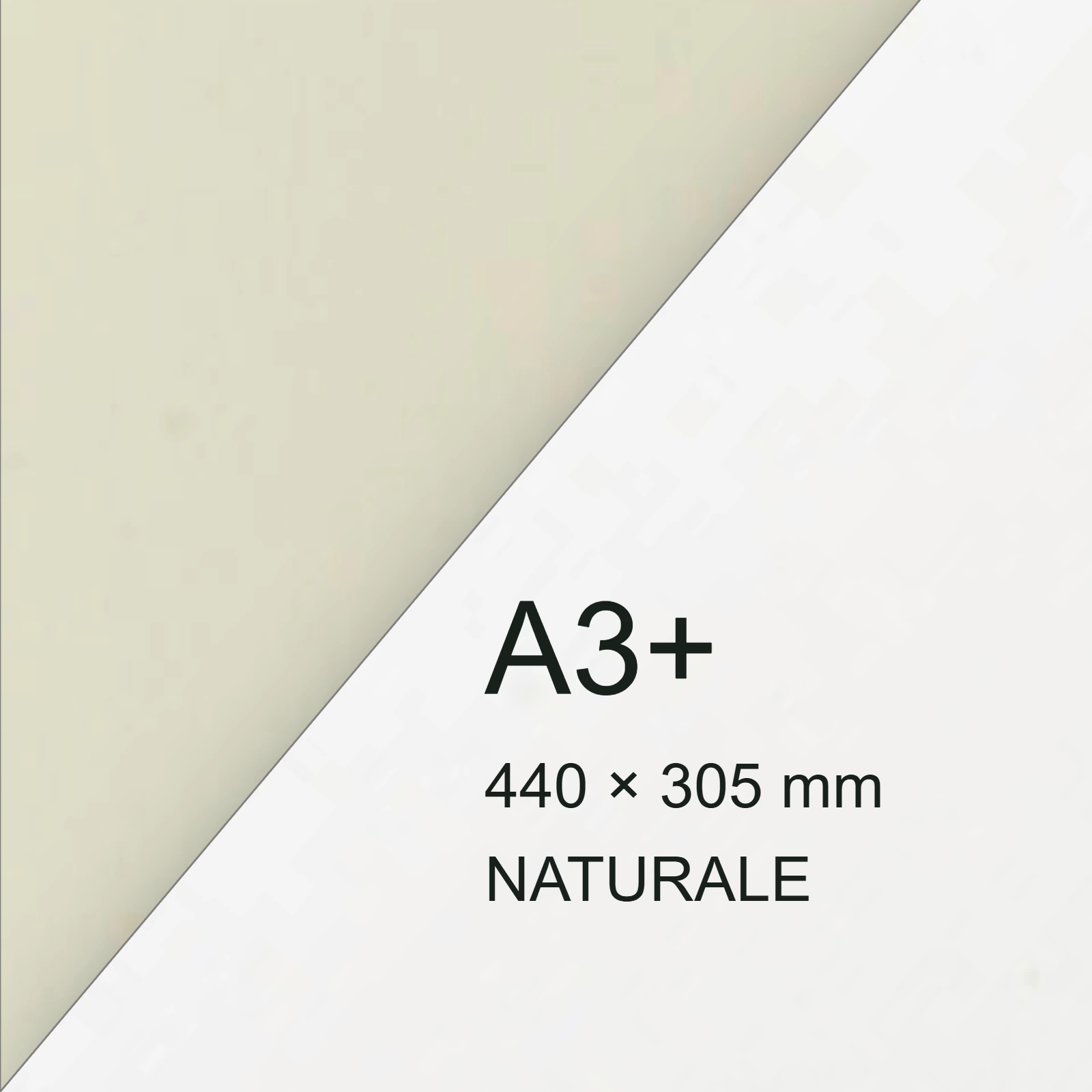 Cartoncino Favini, Shiro Tree Free, 300 g/m², A3+, NATURALE bra6682a3+ - immagine aggiuntiva