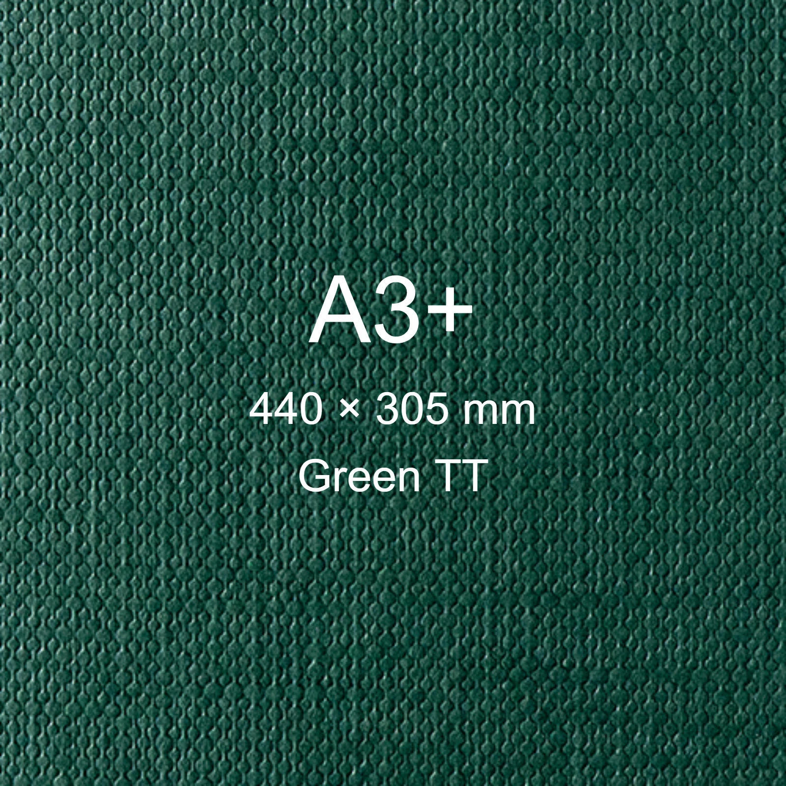 Cartoncino Favini, Classy Covers, 120 g/m², A3+, GREEN TT bra6628a3+ - immagine aggiuntiva