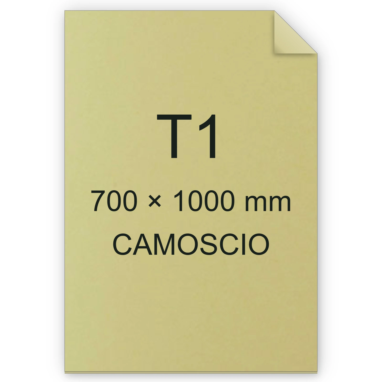 Cartoncino Favini, Bristol Color, 200 g/m², T1, CAMOSCIO 02 FAVA35R301