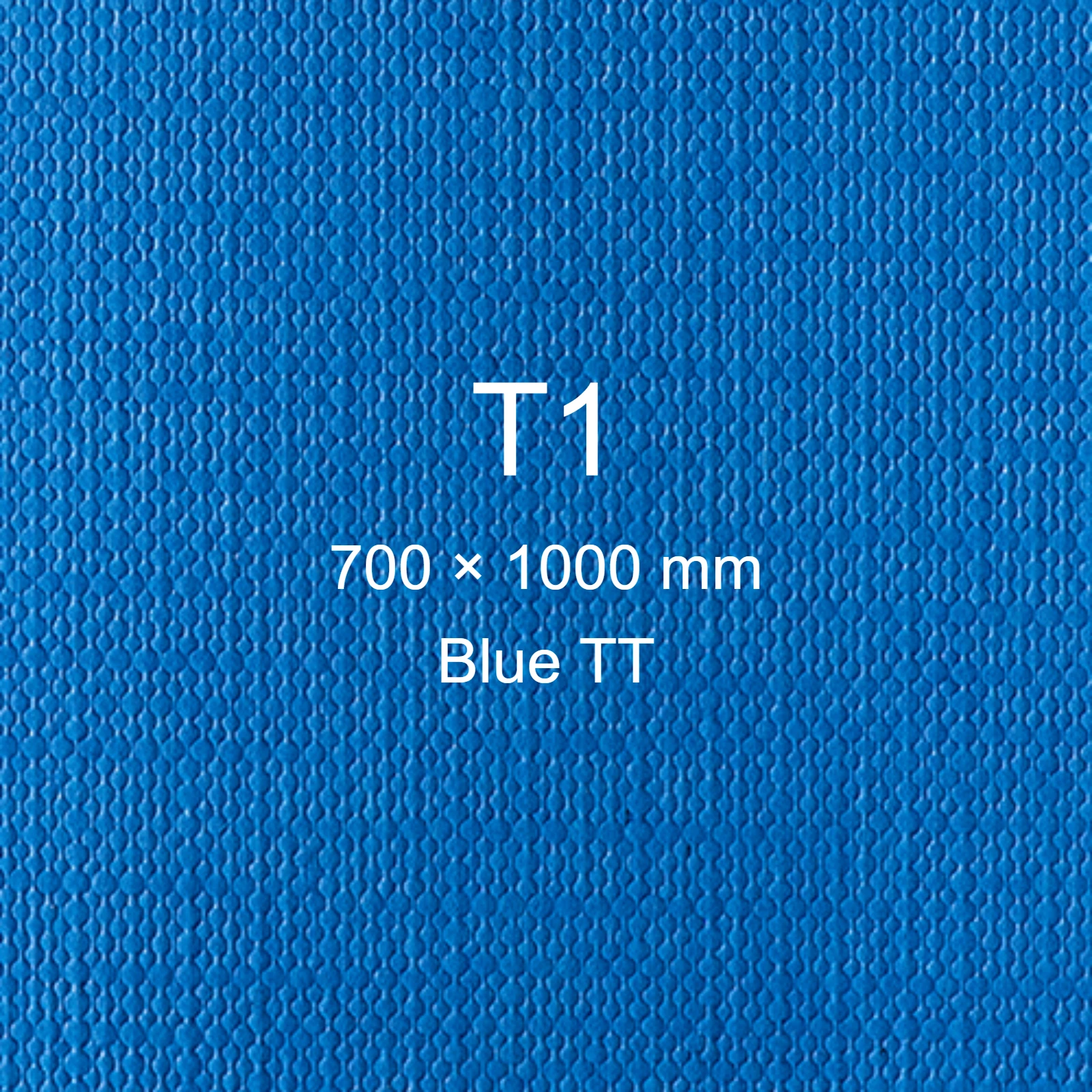 Cartoncino Favini, Classy Covers, 120 g/m², T1, BLUE TT bra6627t1 - immagine aggiuntiva