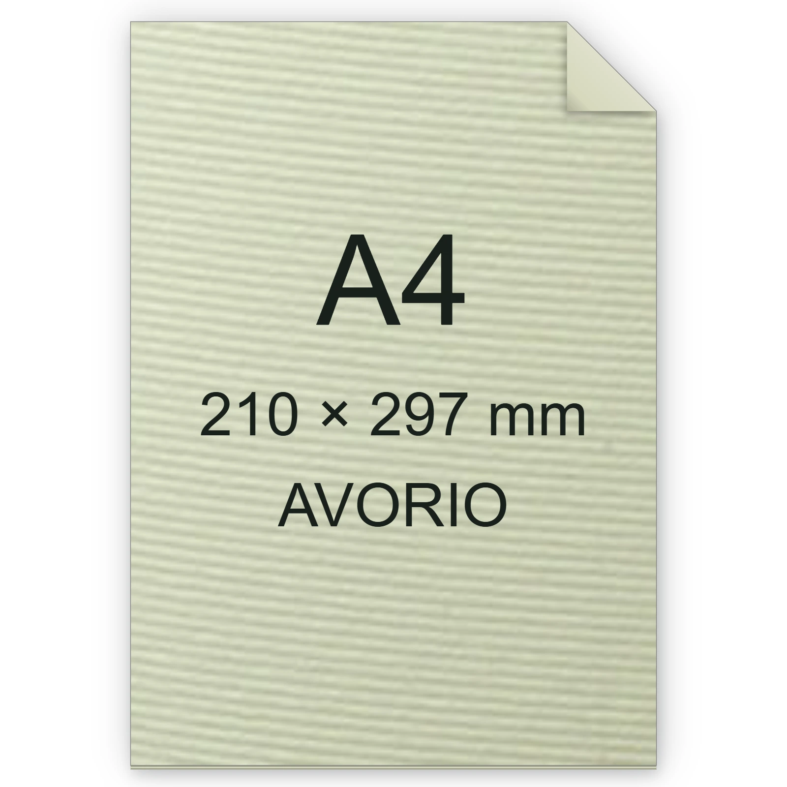Carta Favini, Calligraphy Millerighe, 100 g/m², A4, AVORIO 02 FAVA69Q224