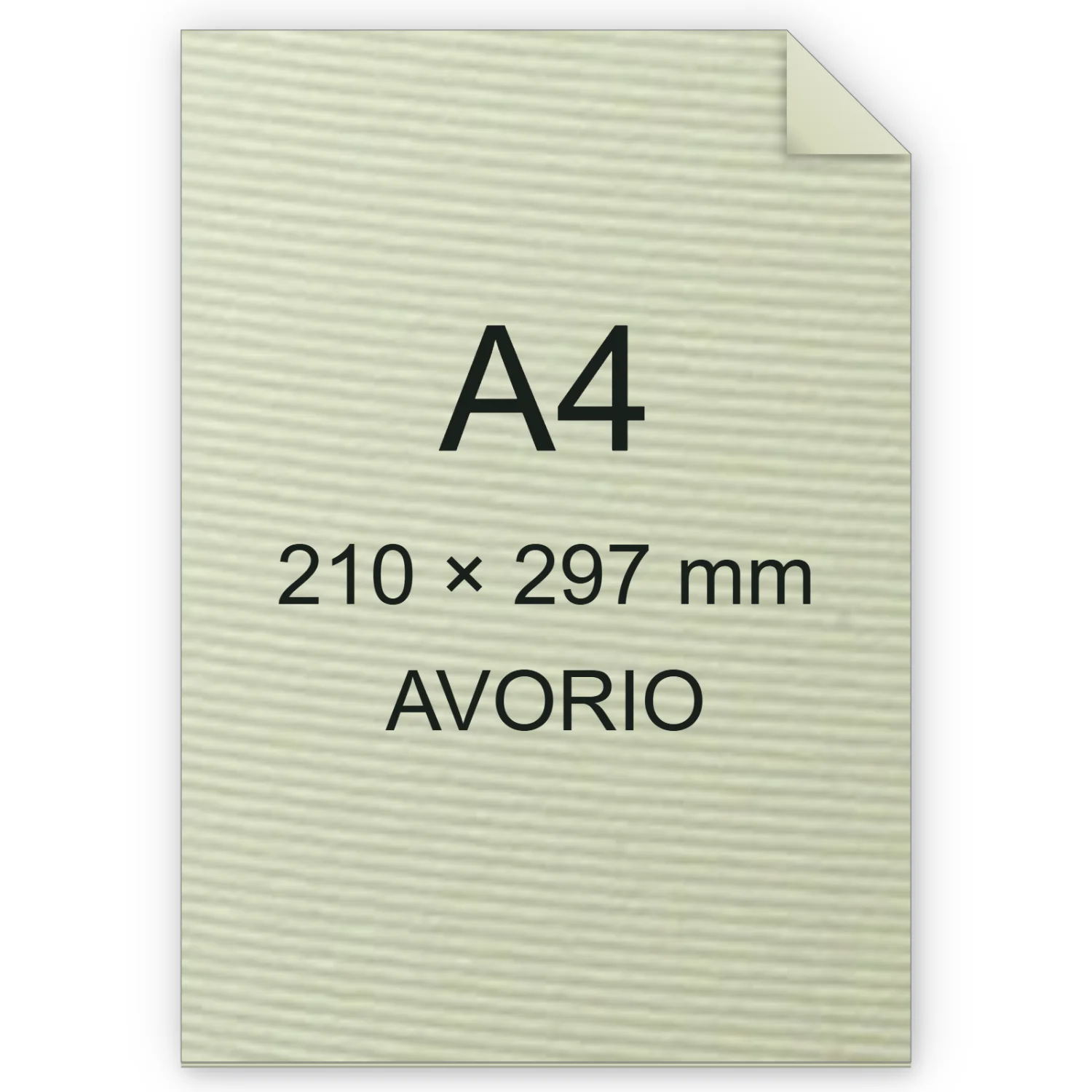 Carta Favini, Calligraphy Millerighe, 100 g/m², A4, AVORIO 02 FAVA69Q224