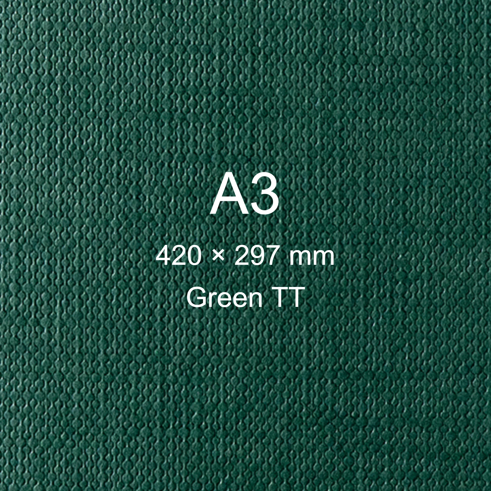 Cartoncino Favini, Classy Covers, 120 g/m², A3, GREEN TT bra6628a3 - immagine aggiuntiva
