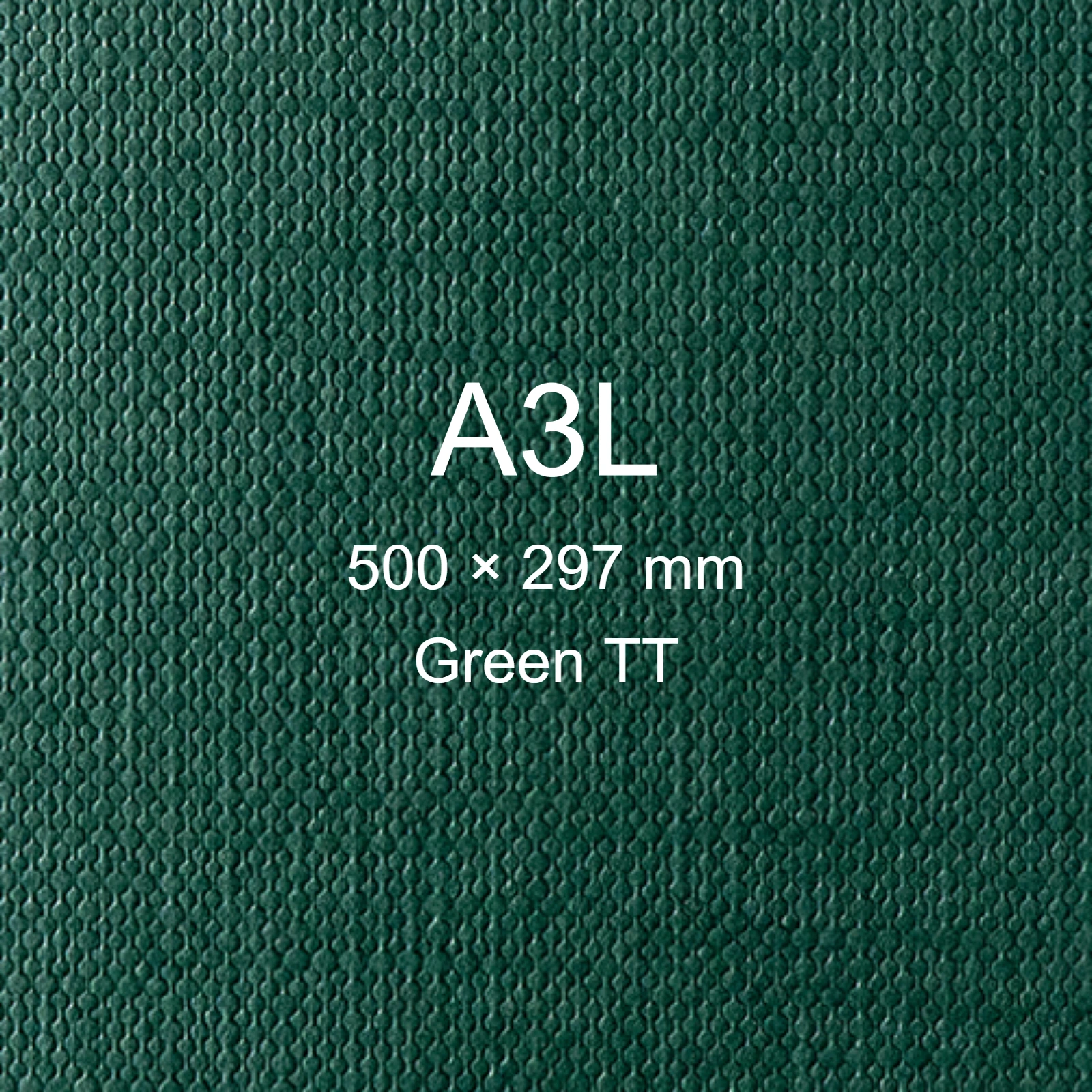 Cartoncino Favini, Classy Covers, 120 g/m², A3L, GREEN TT bra6628a3l - immagine aggiuntiva