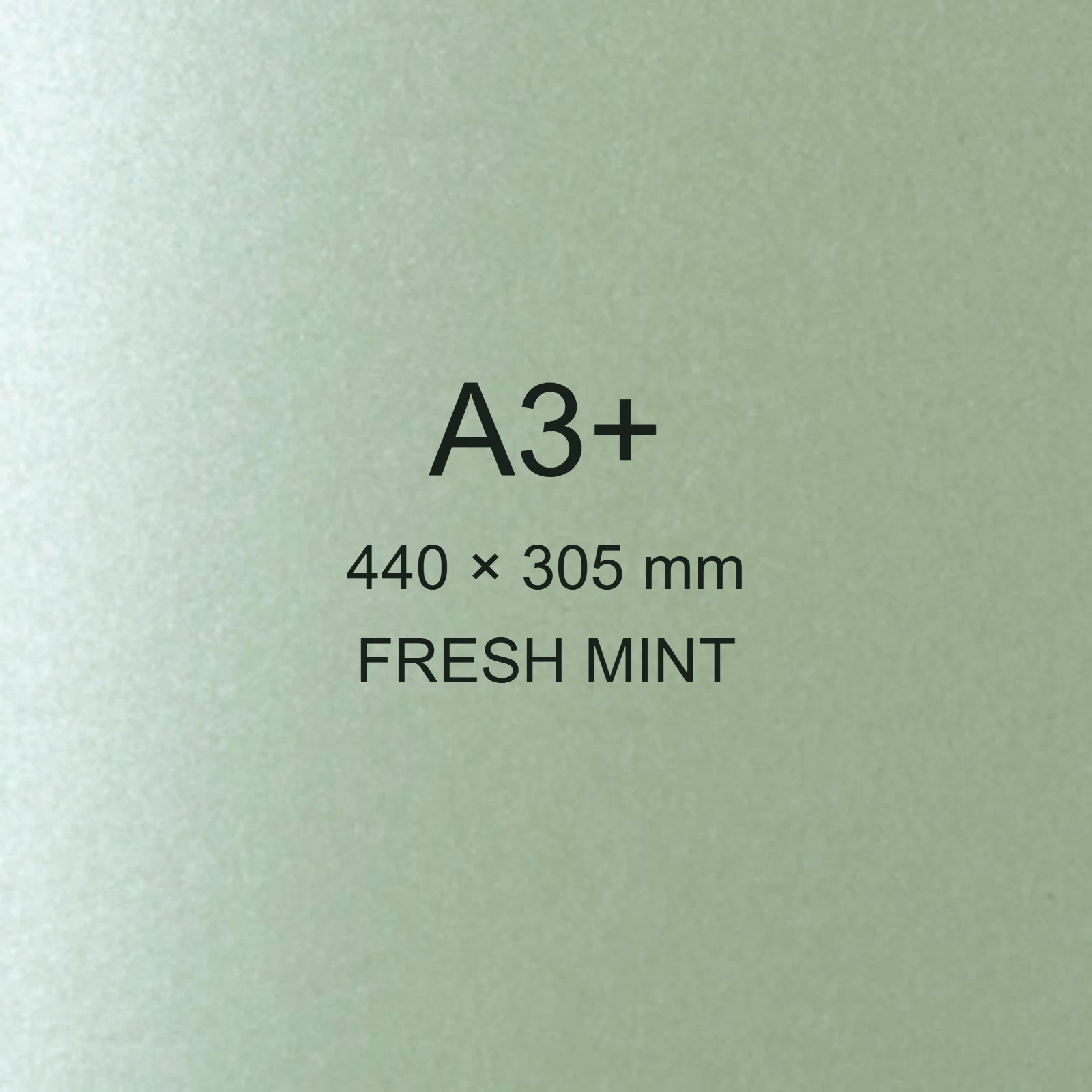 Cartoncino Favini, Majestic Classic, 290 g/m², A3+, FRESH MINT bra752a3+ - immagine aggiuntiva