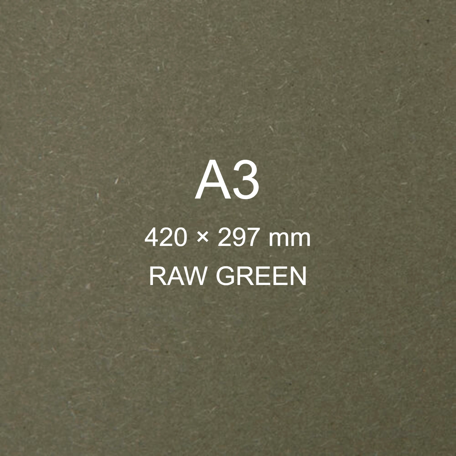 Cartoncino Favini, Shiro Echo Raw, 350 g/m², A3, RAW GREEN bra6665a3 - immagine aggiuntiva