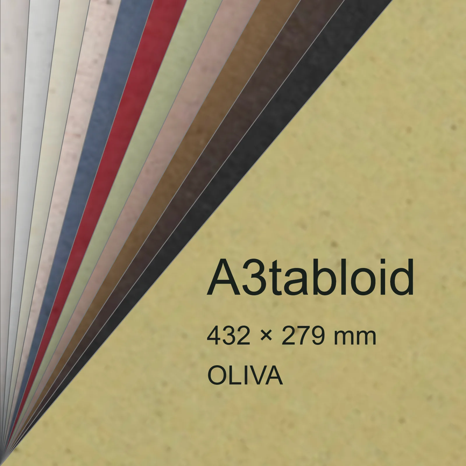 Cartoncino Favini, Crush, 350 g/m², A3tabloid, OLIVA bra6703a3tabloid - immagine aggiuntiva