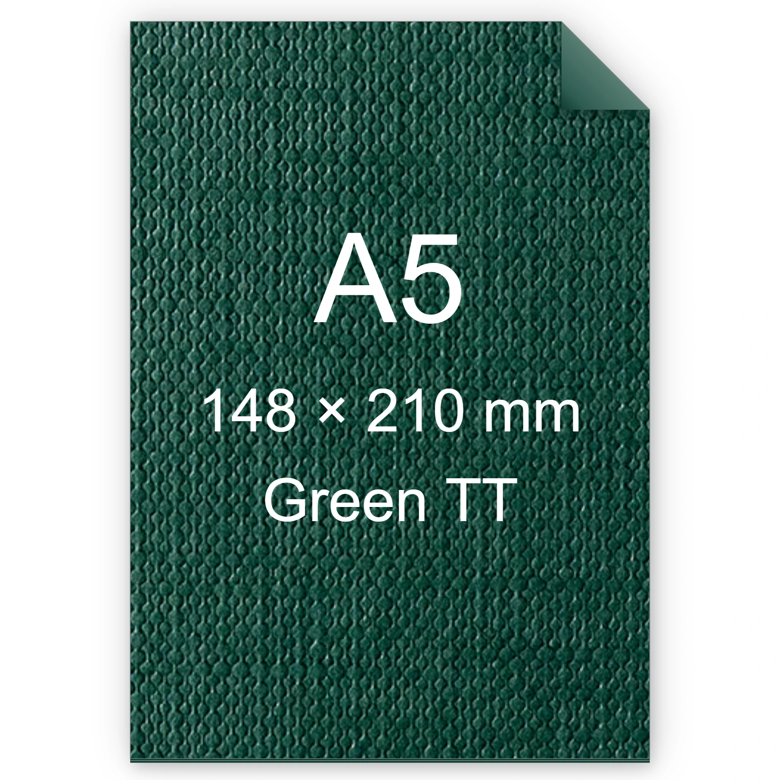 Cartoncino Favini, Classy Covers, 120 g/m², A5, GREEN TT bra6628a5
