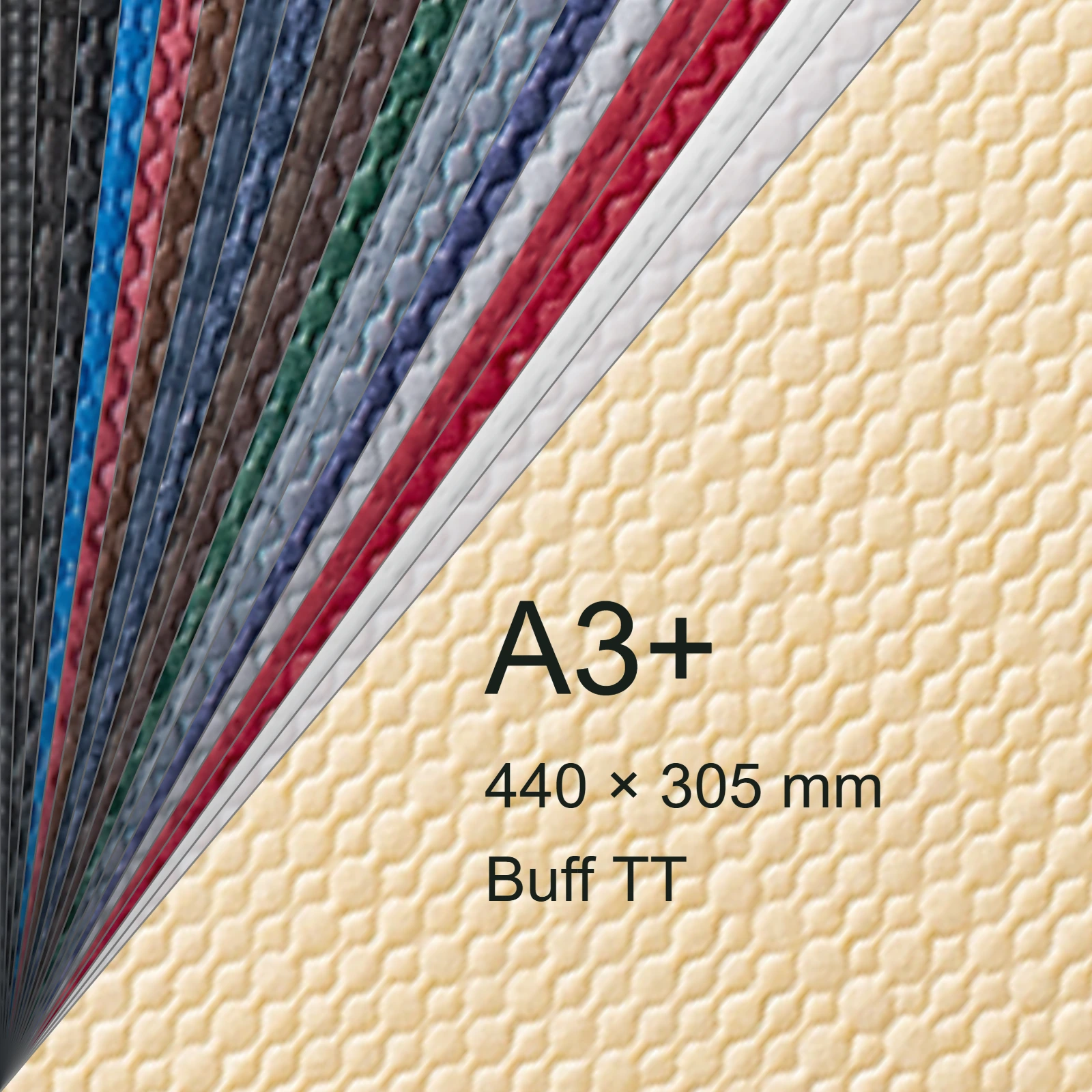 Cartoncino Favini, Classy Covers, 120 g/m², A3+, BUFF TT bra6619a3+ - immagine aggiuntiva