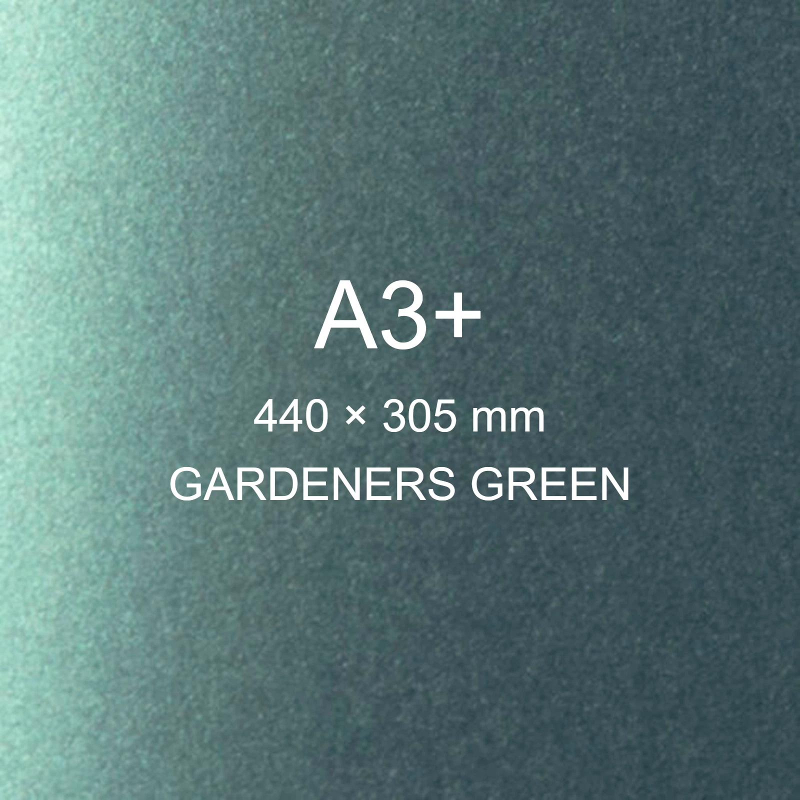 Cartoncino Favini, Majestic Classic, 290 g/m², A3+, GARDENERS GREEN bra760a3+ - immagine aggiuntiva
