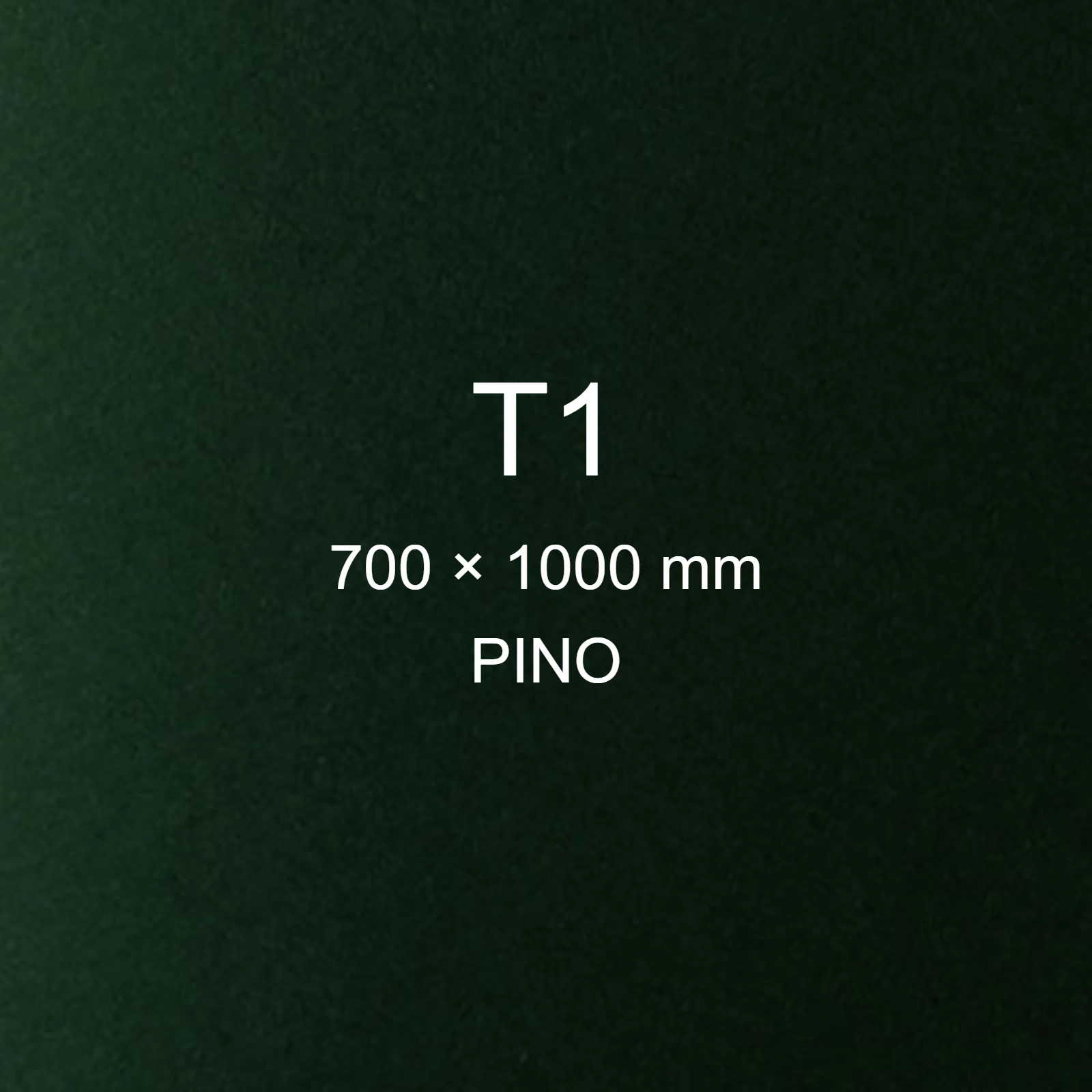 Cartoncino Favini, Prisma Color Monoruvido, 220 g/m², T1, PINO 20 FAVA336201 - immagine aggiuntiva