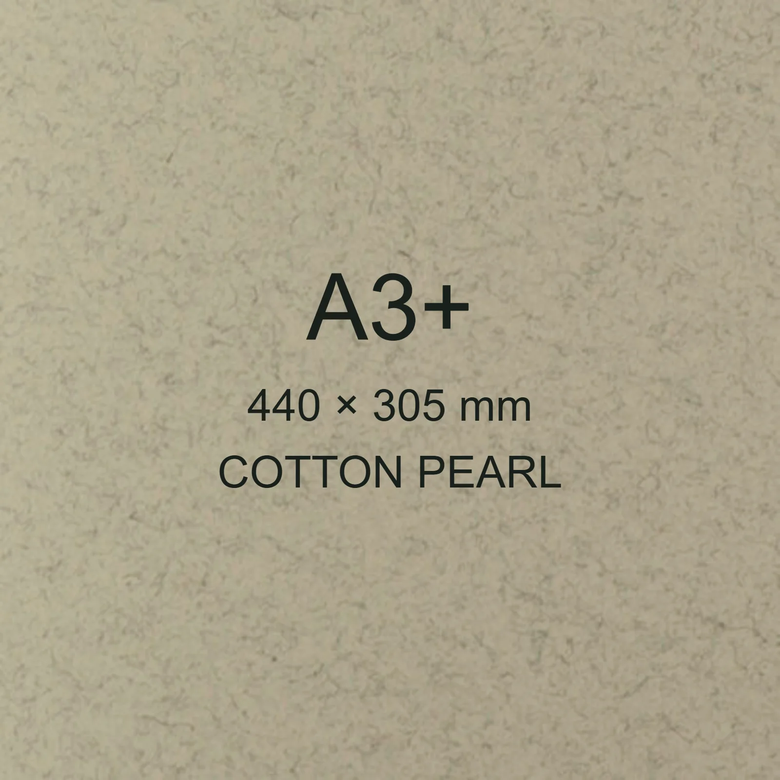 Cartoncino Favini, Refit, 360 g/m², A3+, COTTON PEARL bra6732a3+ - immagine aggiuntiva