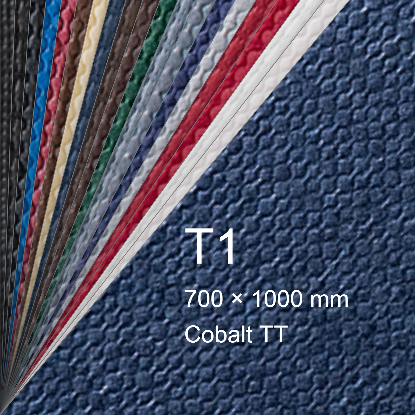 Cartoncino Favini, Classy Covers, 120 g/m², T1, COBALT TT bra6624t1 - immagine aggiuntiva