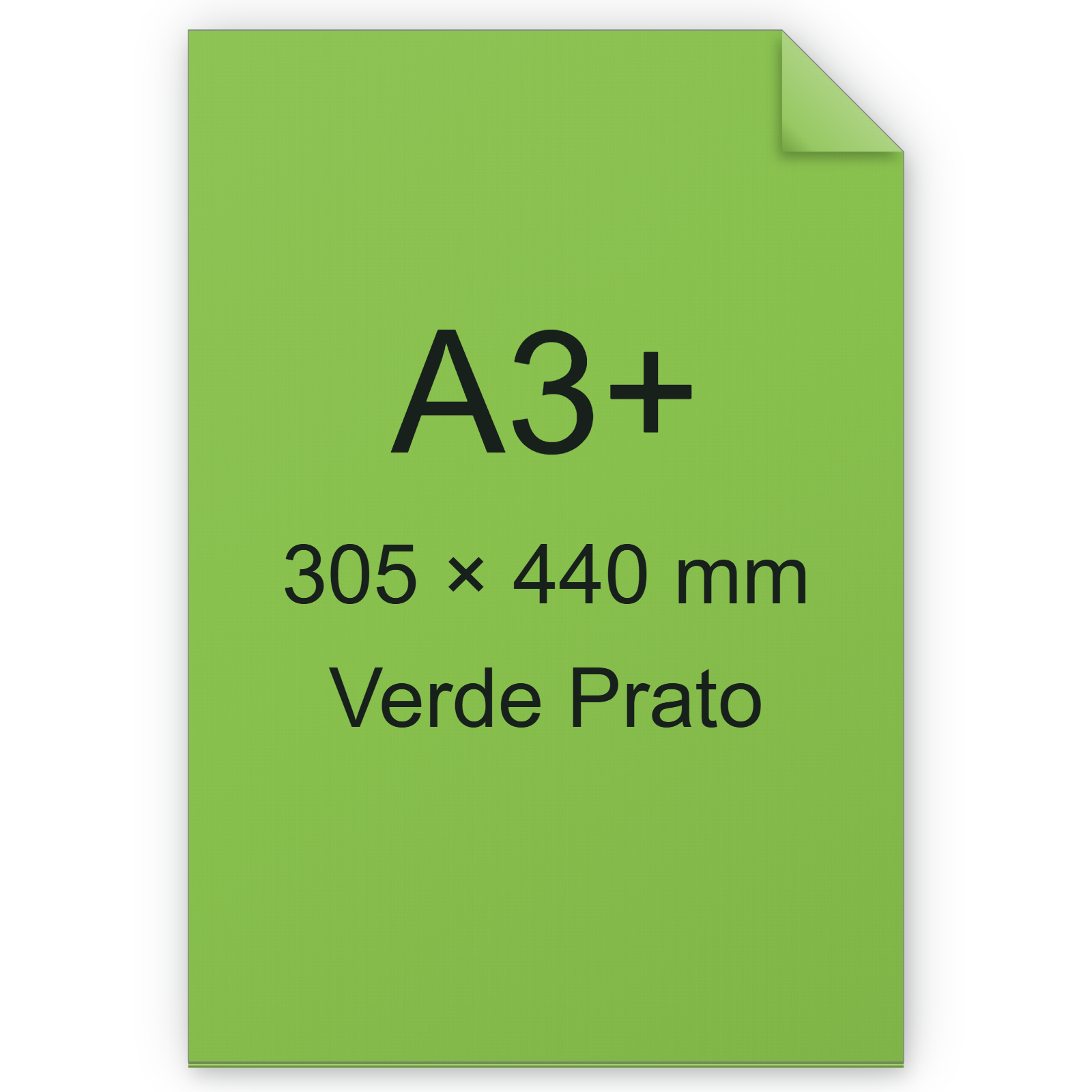Cartoncino Favini, Burano, 250 g/m², A3+, VERDE PRATO 54 BRA821a3+