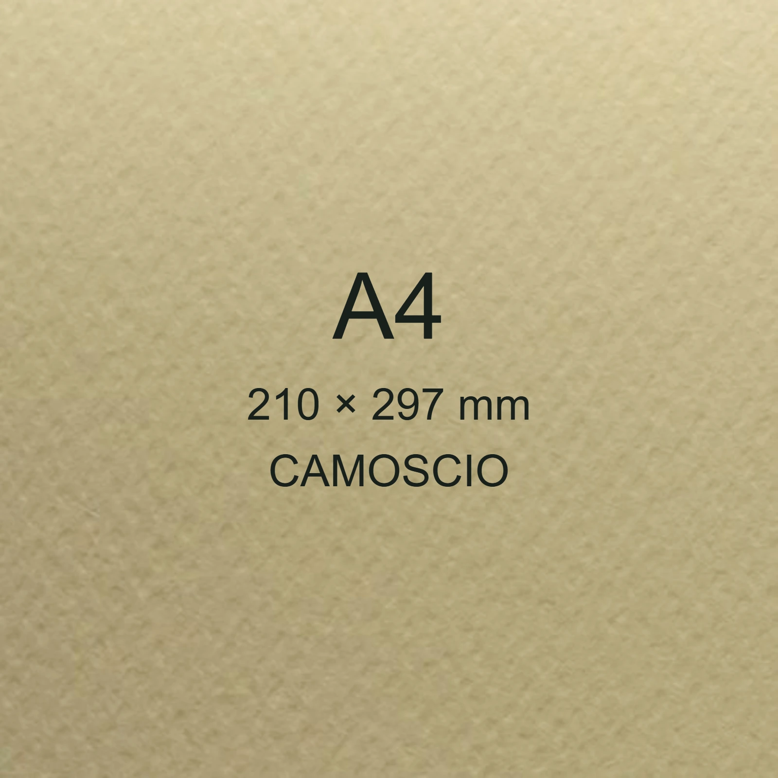 Cartoncino Favini, Prisma Plastificato, 250 g/m², A4, CAMOSCIO bra1319 - immagine aggiuntiva