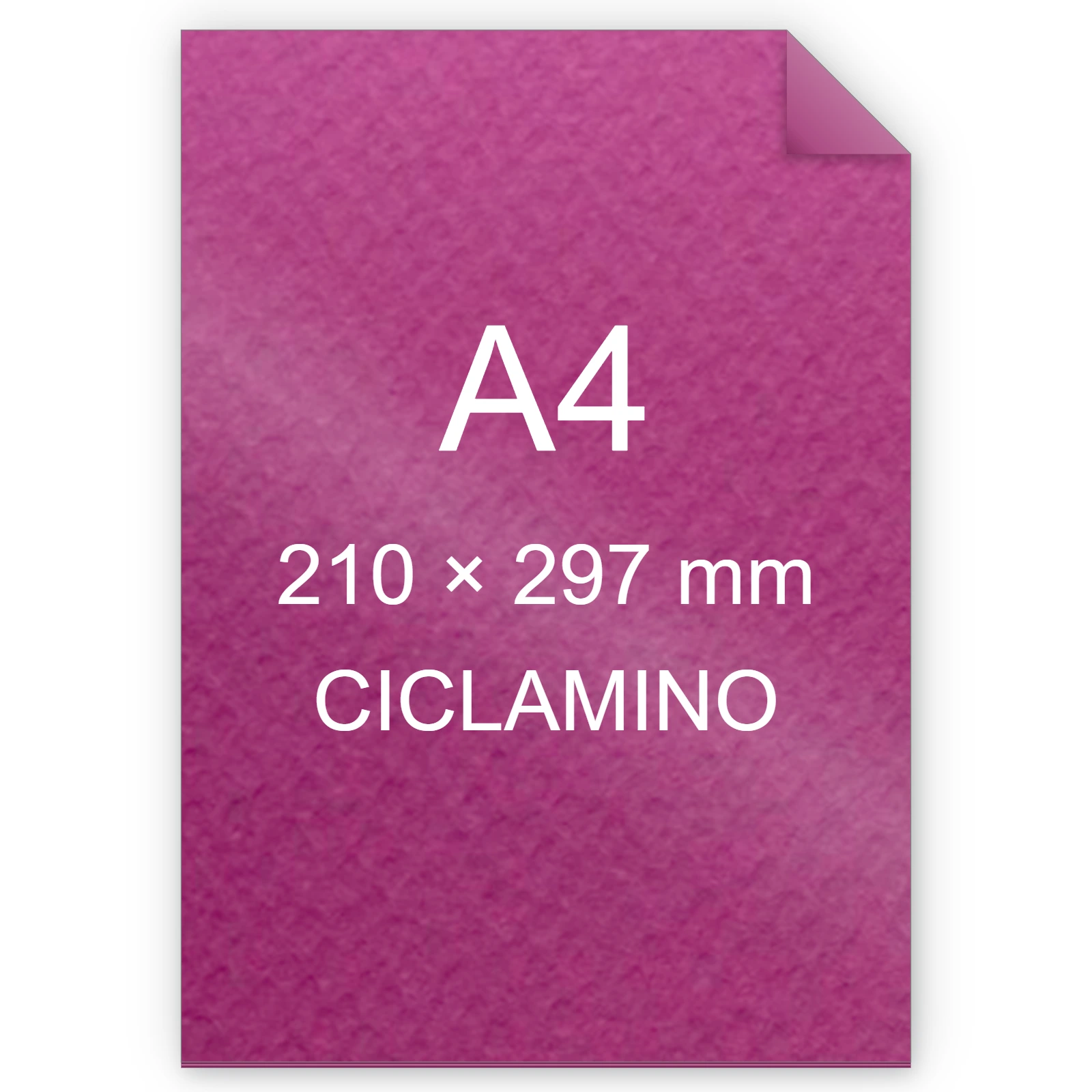 Cartoncino Favini, Prisma Plastificato, 250 g/m², A4, CICLAMINO bra1313