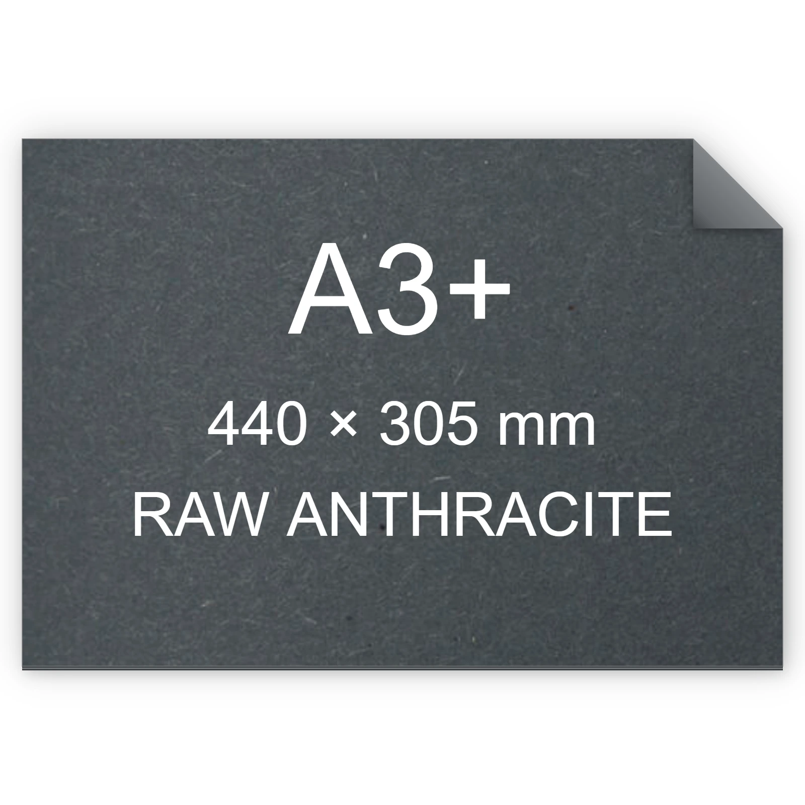 Cartoncino Favini, Shiro Echo Raw, 350 g/m², A3+, RAW ANTHRACITE bra6674a3+
