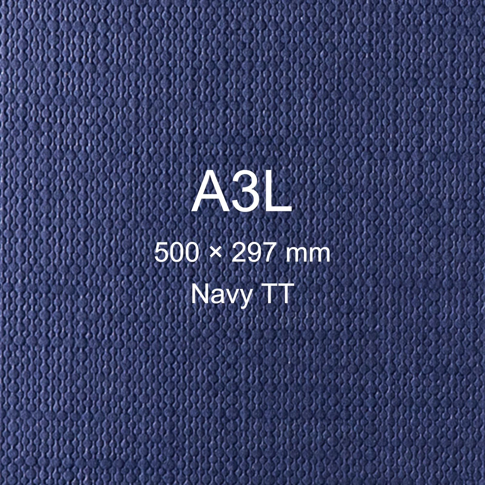 Cartoncino Favini, Classy Covers, 120 g/m², A3L, NAVY TT bra6626a3l - immagine aggiuntiva