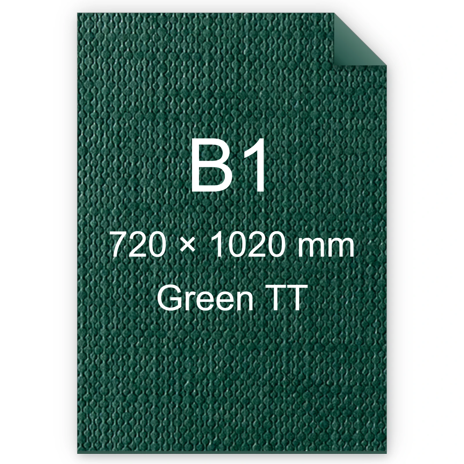 Cartoncino Favini, Classy Covers, 120 g/m², B1, GREEN TT bra6628b1