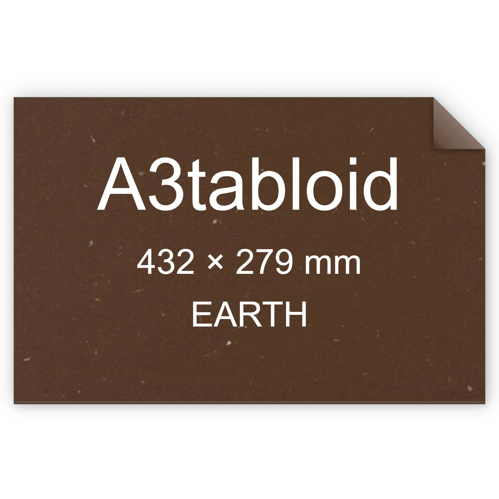 Cartoncino Favini, Sparto, 120 g/m², A3tabloid, EARTH bra6568a3tabloid
