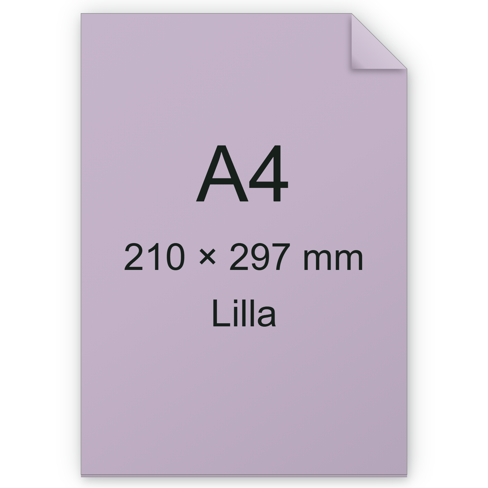 Cartoncino Favini, Burano, 200 g/m², A4, LILLA 06 bra832