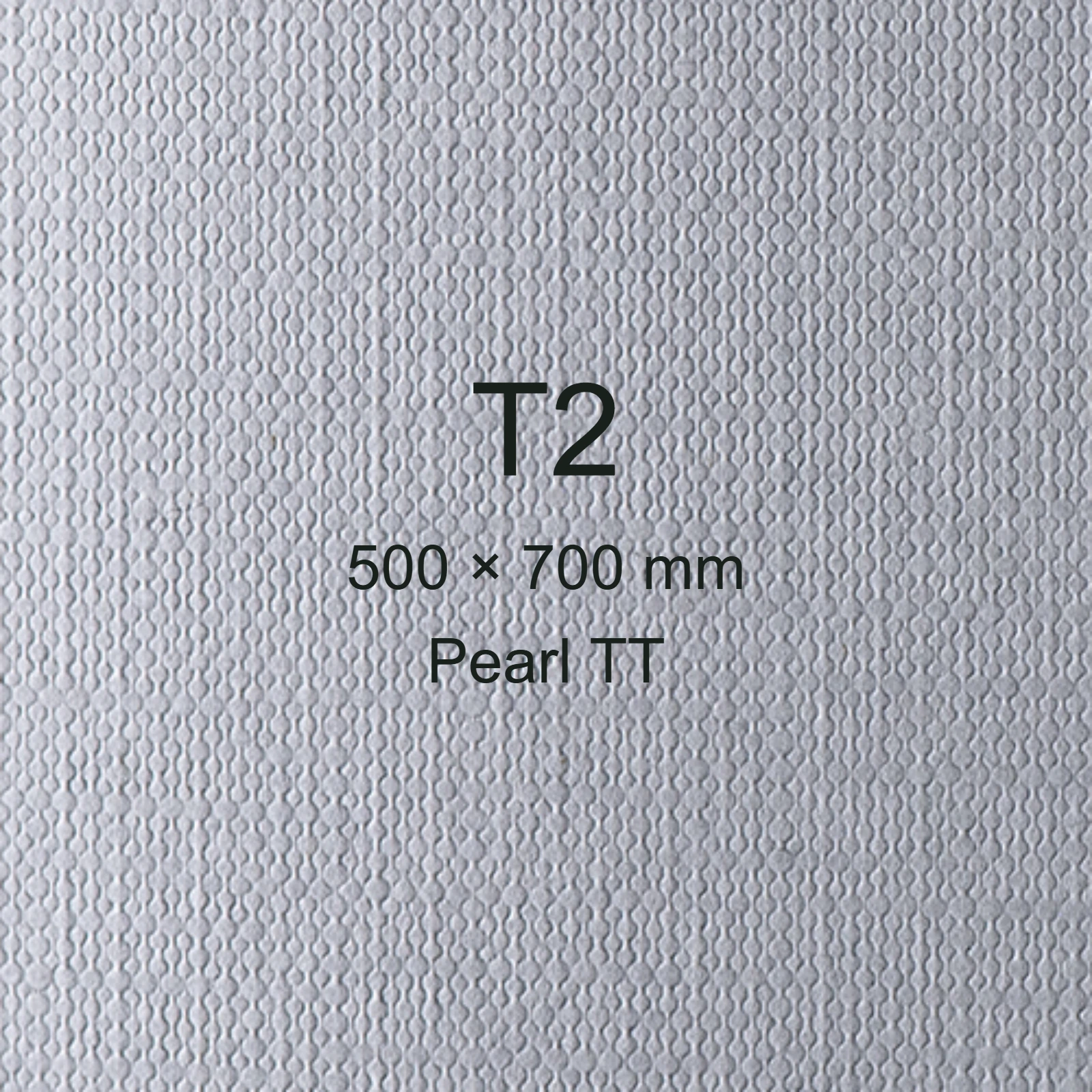 Cartoncino Favini, Classy Covers, 120 g/m², T2, PEARL TT bra6622t2 - immagine aggiuntiva