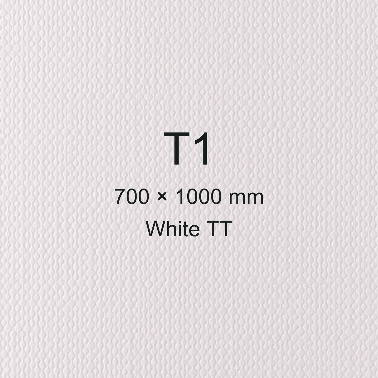 Cartoncino Favini, Classy Covers, 120 g/m², T1, WHITE TT bra6615t1 - immagine aggiuntiva