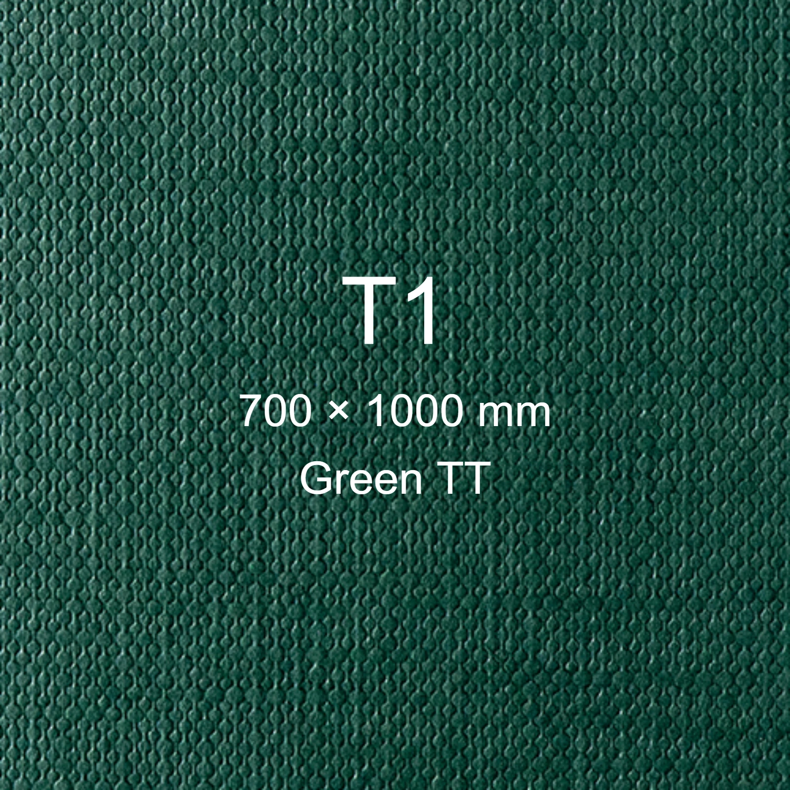 Cartoncino Favini, Classy Covers, 120 g/m², T1, GREEN TT bra6628t1 - immagine aggiuntiva