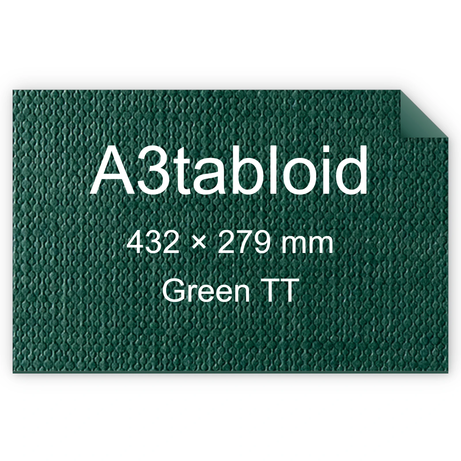 Cartoncino Favini, Classy Covers, 120 g/m², A3tabloid, GREEN TT bra6628a3tabloid