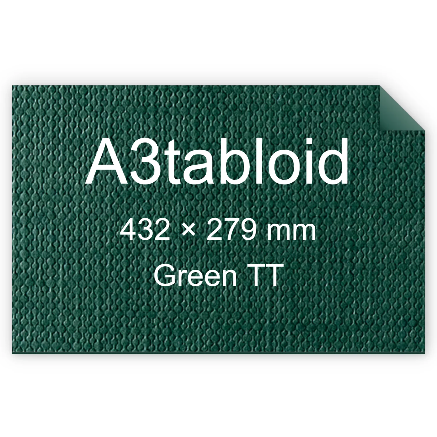 Cartoncino Favini, Classy Covers, 120 g/m², A3tabloid, GREEN TT bra6628a3tabloid