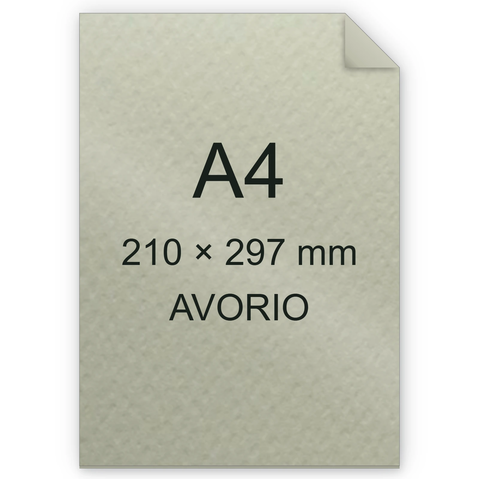 Cartoncino Favini, Prisma Plastificato, 250 g/m², A4, AVORIO bra1316