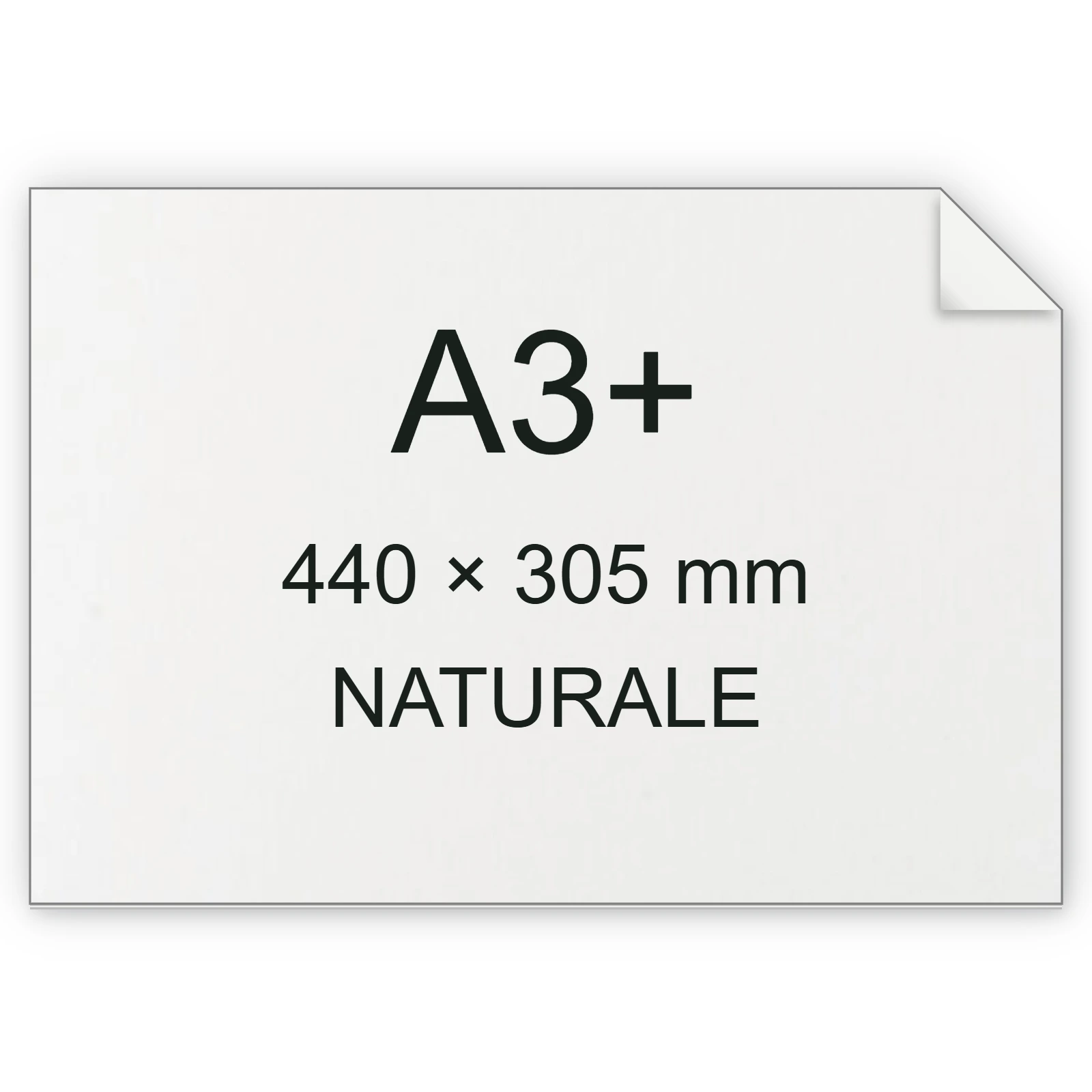 Cartoncino Favini, Shiro Tree Free, 300 g/m², A3+, NATURALE bra6682a3+