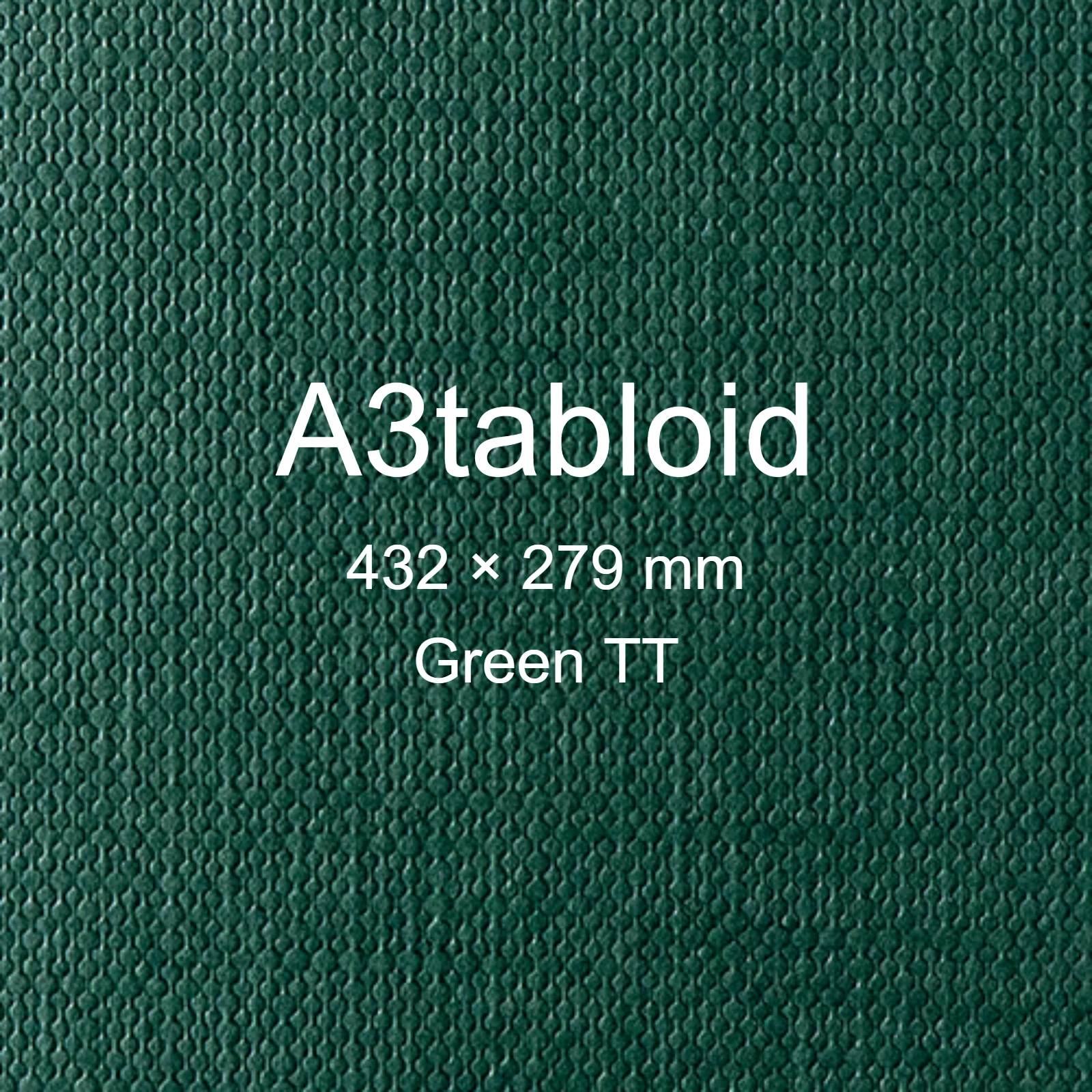 Cartoncino Favini, Classy Covers, 120 g/m², A3tabloid, GREEN TT bra6628a3tabloid - immagine aggiuntiva