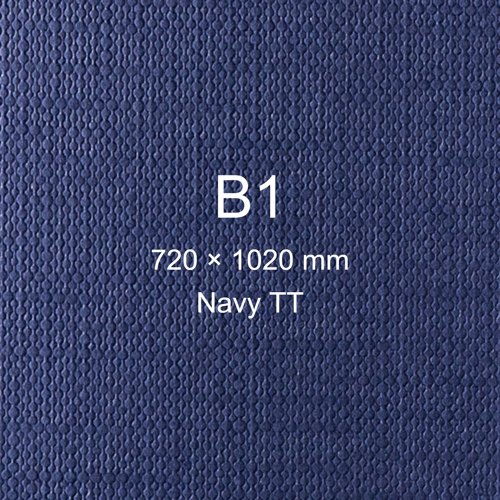 Cartoncino Favini, Classy Covers, 120 g/m², B1, NAVY TT bra6626b1 - immagine aggiuntiva