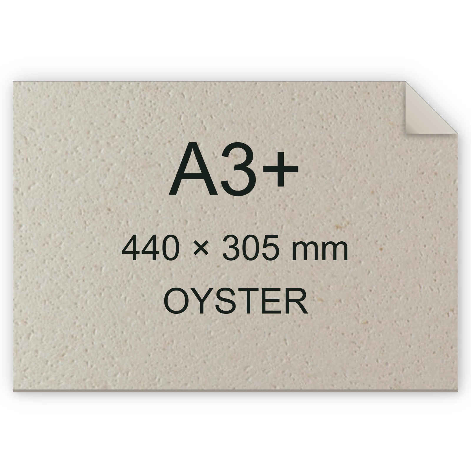 Cartoncino Favini, Remake Carapace, 120 g/m², A3+, OYSTER BRA120a3+