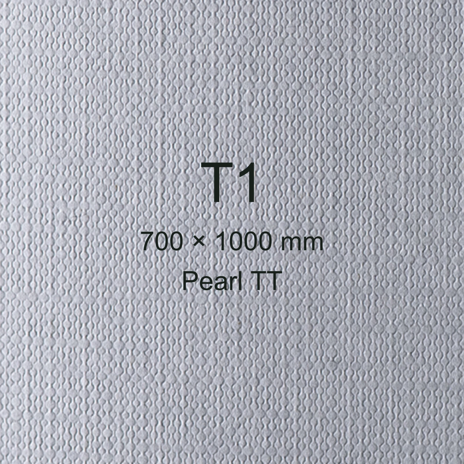 Cartoncino Favini, Classy Covers, 120 g/m², T1, PEARL TT bra6622t1 - immagine aggiuntiva