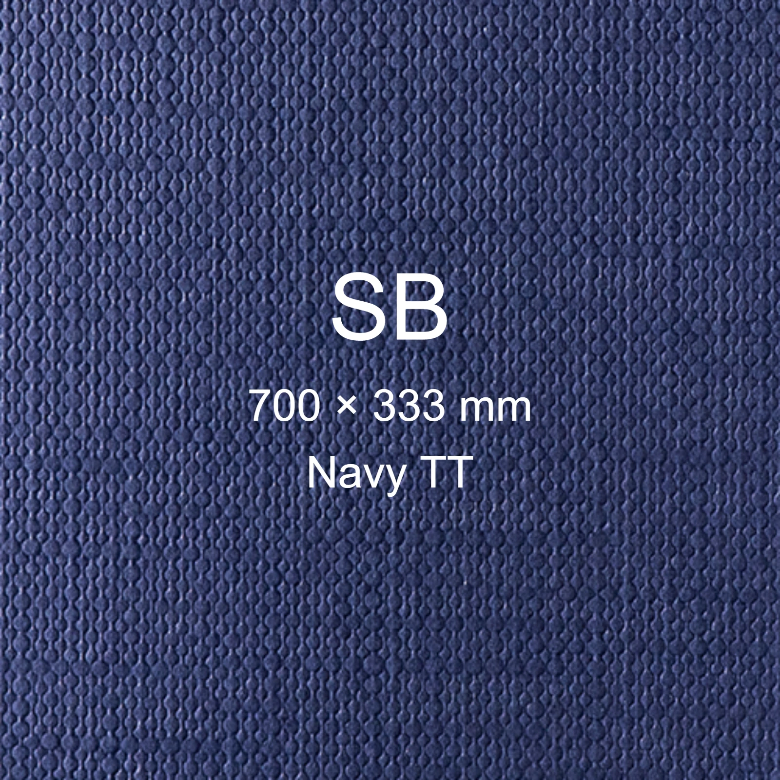 Cartoncino Favini, Classy Covers, 120 g/m², SB, NAVY TT bra6626sb - immagine aggiuntiva