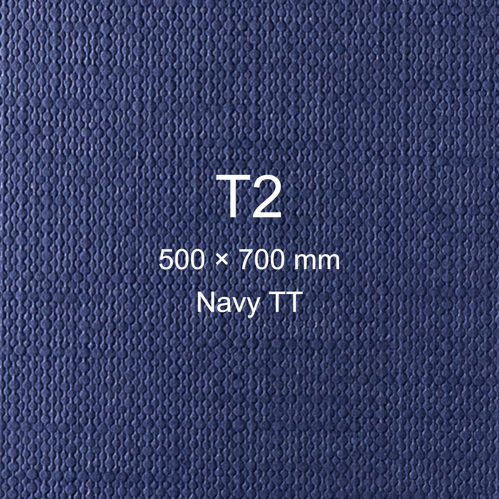 Cartoncino Favini, Classy Covers, 120 g/m², T2, NAVY TT bra6626t2 - immagine aggiuntiva