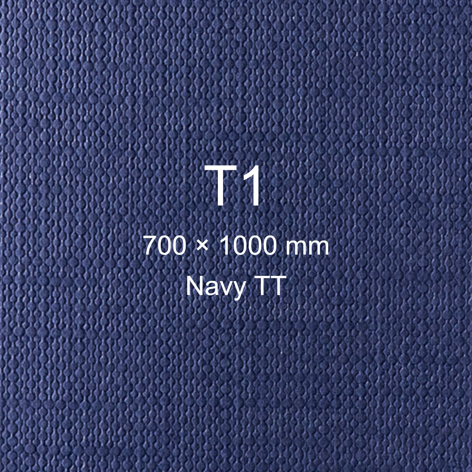 Cartoncino Favini, Classy Covers, 120 g/m², T1, NAVY TT bra6626t1 - immagine aggiuntiva