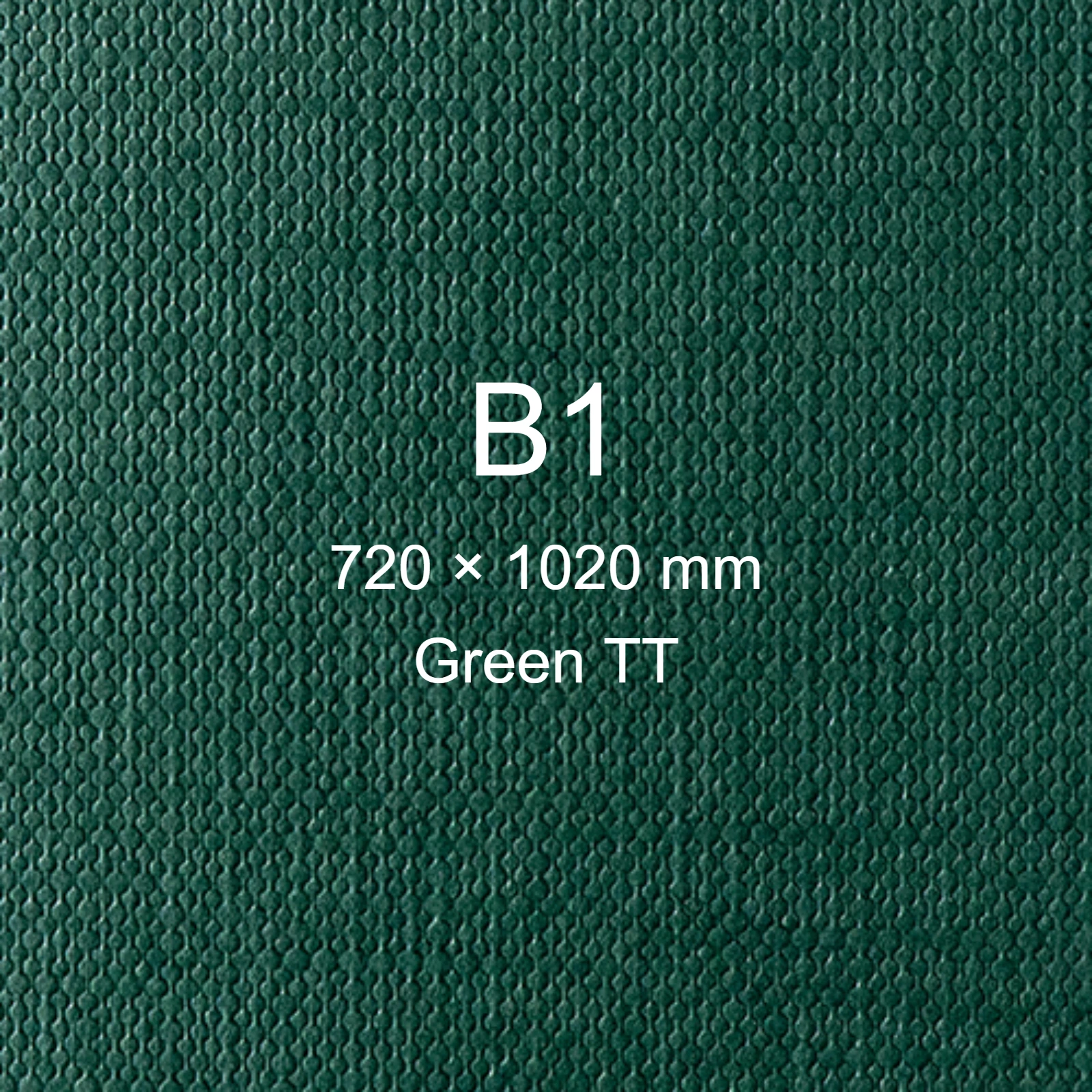 Cartoncino Favini, Classy Covers, 120 g/m², B1, GREEN TT bra6628b1 - immagine aggiuntiva