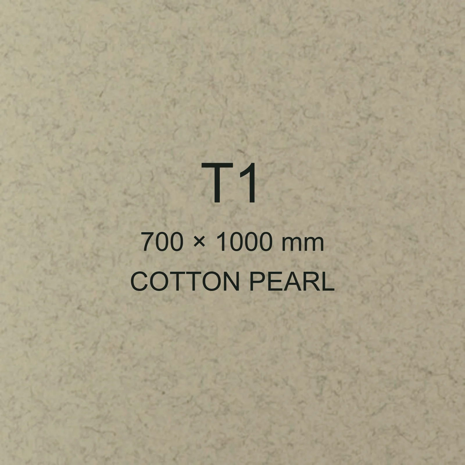 Cartoncino Favini, Refit, 250 g/m², T1, COTTON PEARL bra6731t1 - immagine aggiuntiva