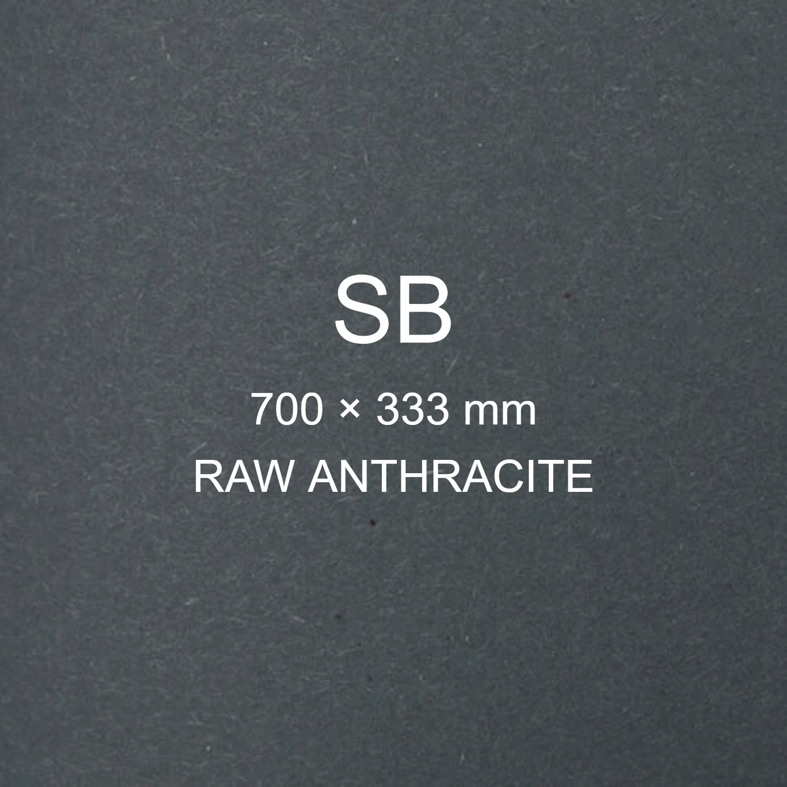 Cartoncino Favini, Shiro Echo Raw, 350 g/m², SB, RAW ANTHRACITE bra6674sb - immagine aggiuntiva