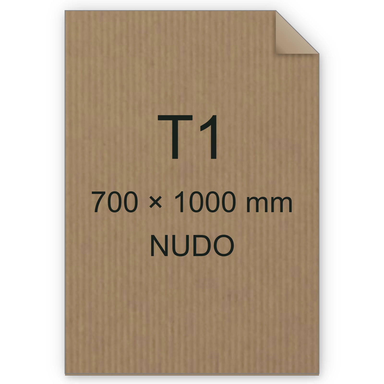 Cartoncino Favini, Twill, 240 g/m², T1, NUDO bra6676t1