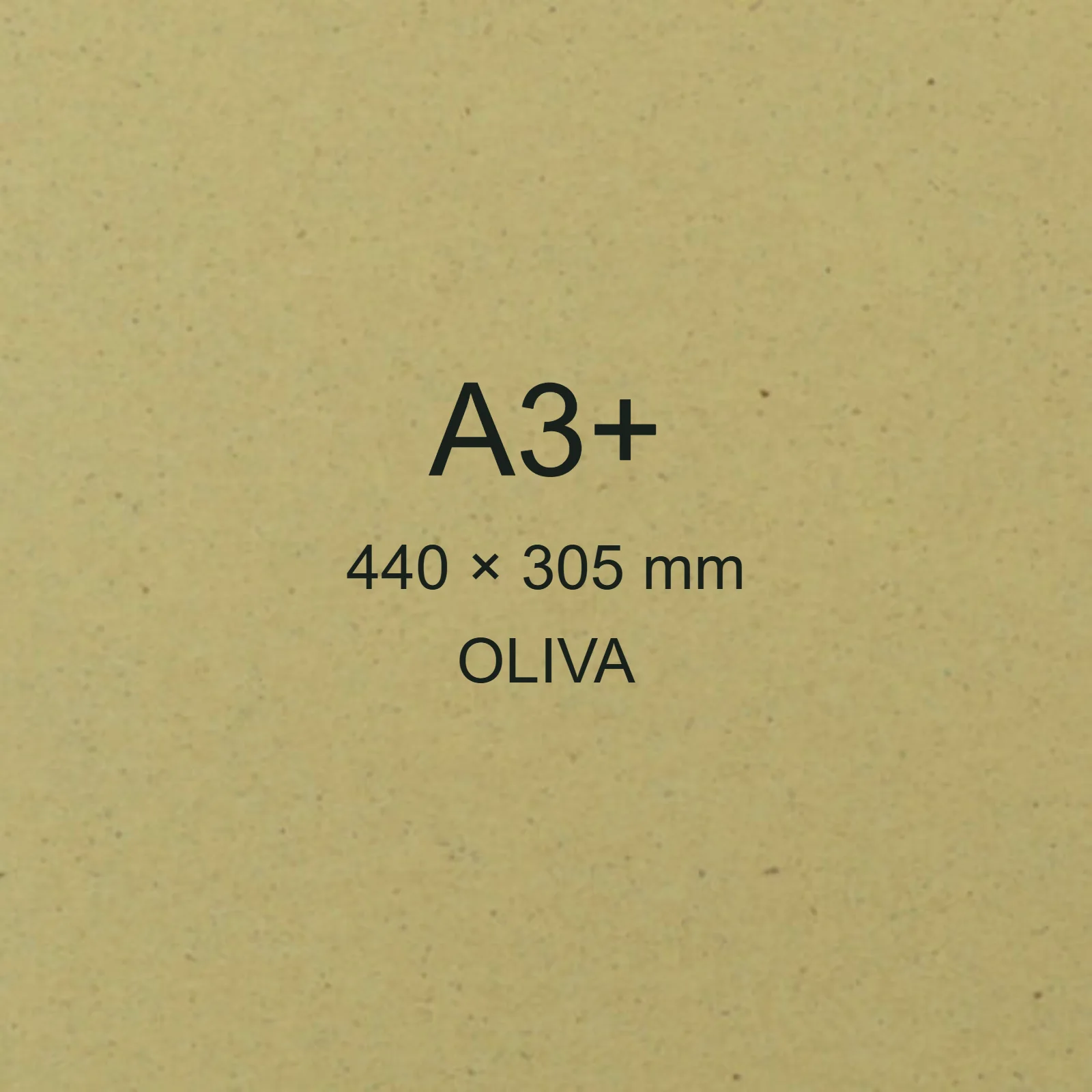 Cartoncino Favini, Crush, 120 g/m², A3+, OLIVA bra6701a3+ - immagine aggiuntiva
